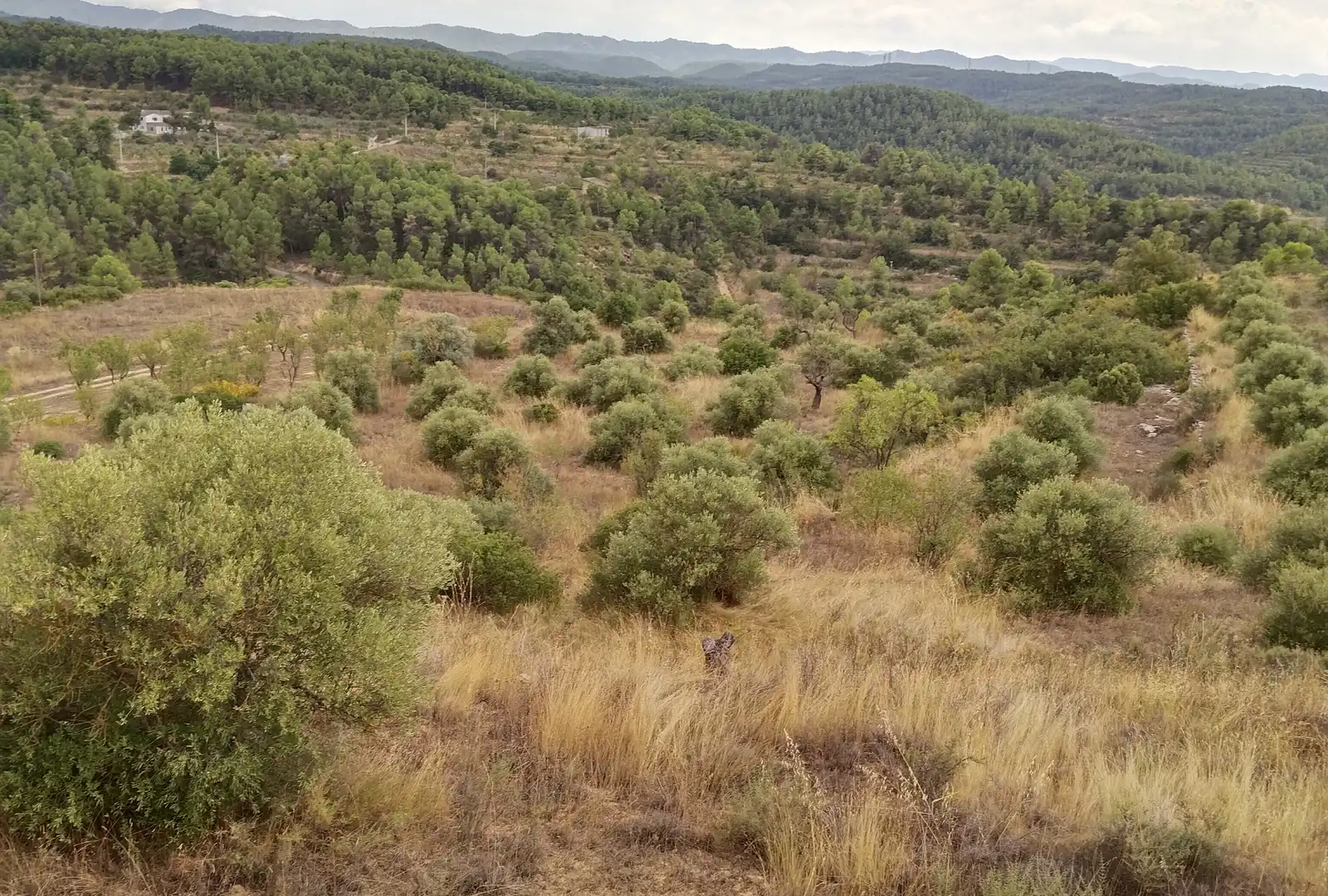 Terreno rustico in vendita a Carrer Onze de Setembre 21, imagen 3