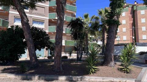 Foto 3 de Piso en venta en Calle Figuera, Roda de Berà, Tarragona