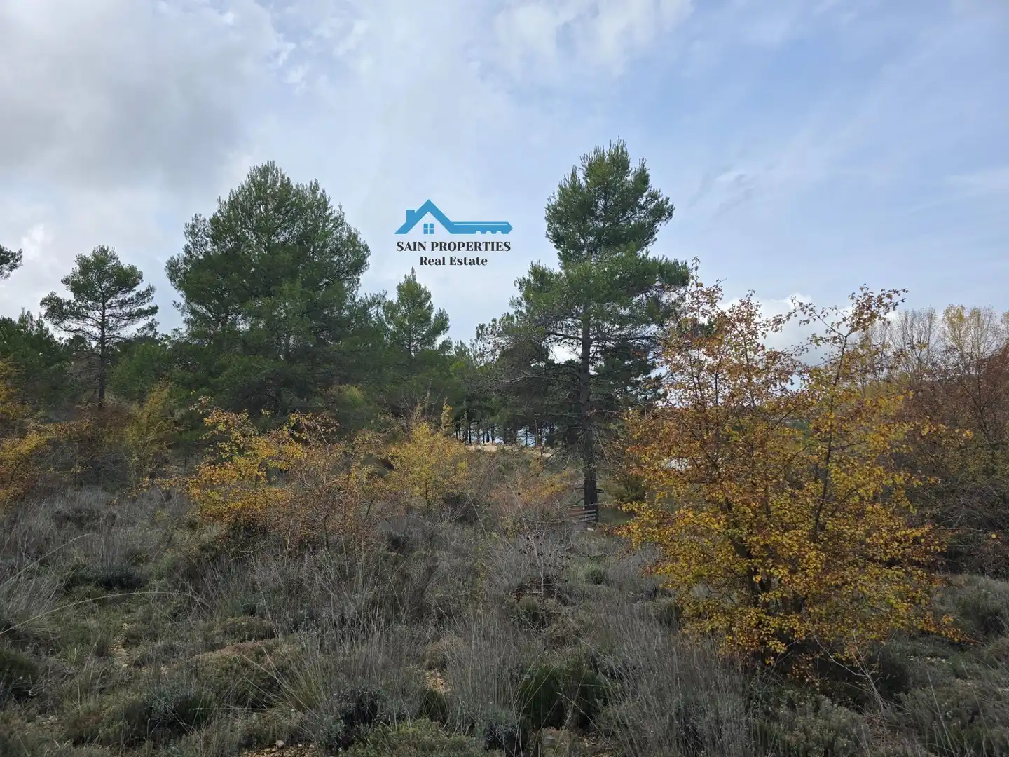 Maison avec jardin à vendre à Confrides, imagen 50