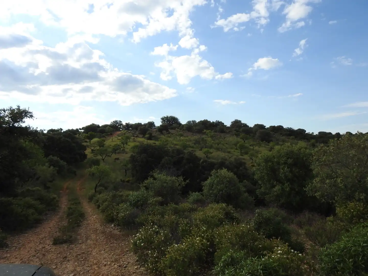 Land for sale in Belvís de la Jara
