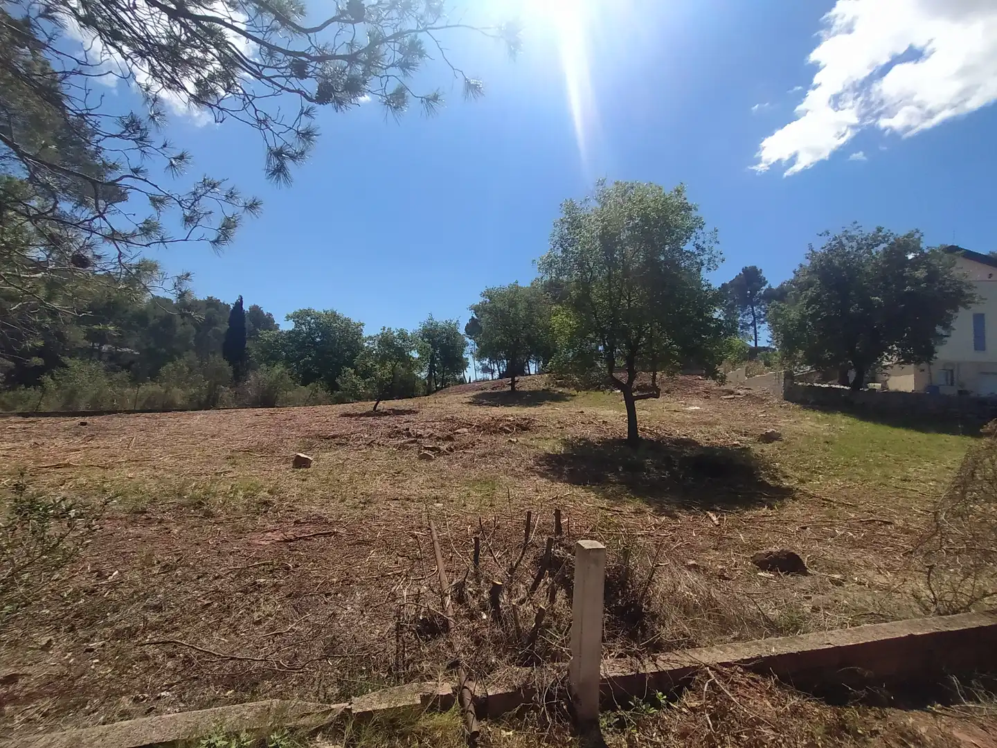 Wohnbaugrundstück zum Verkauf in Carrer Ramon Martí Alsina 7, imagen 4