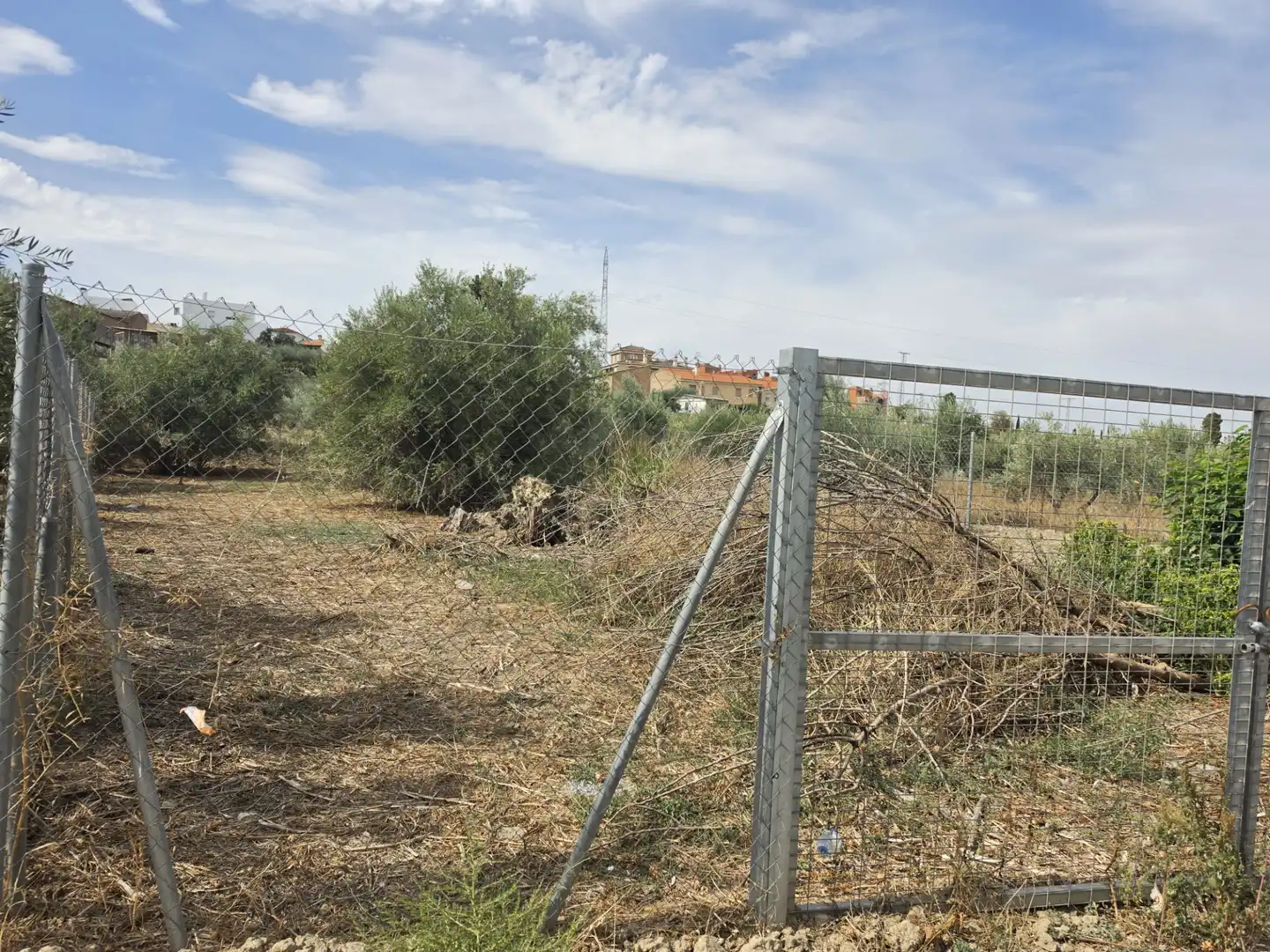 Terreno rústico en venta en Híjar, imagen 2