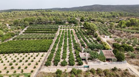 Foto 3 de Casa o xalet en venda a Benicolet, Valencia