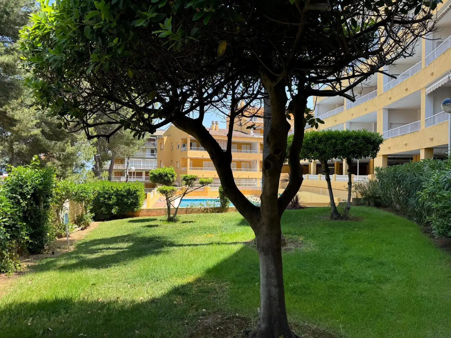 Jardí de Apartament en venda en Oropesa del Mar / Orpesa amb Terrassa, Moblat i Piscina comunitària
