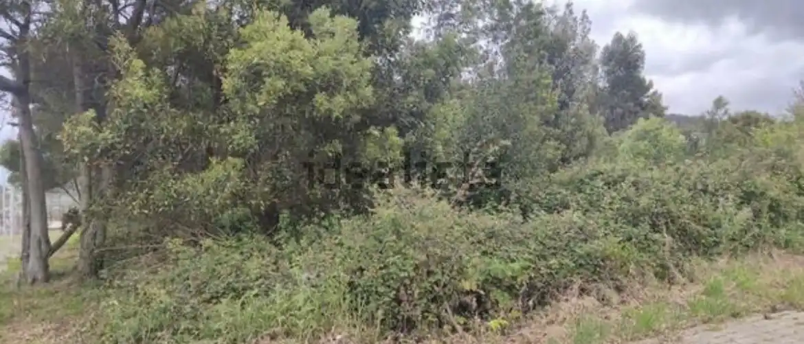 Residencial en venta en A Guarda  