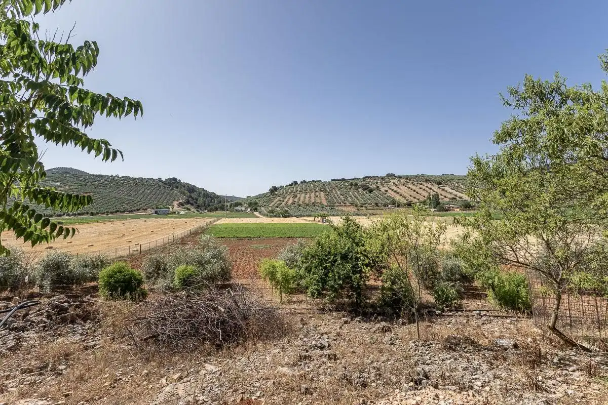 Land for sale in Montefrío