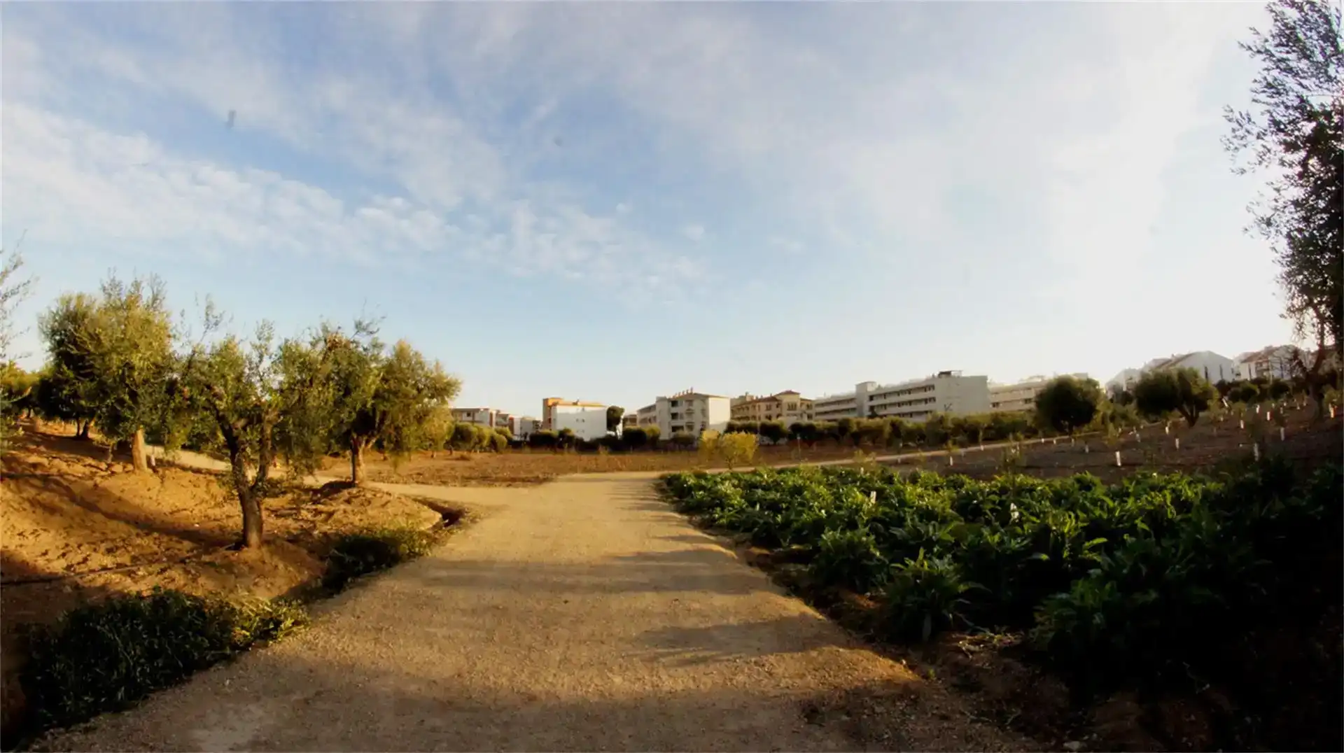 Exterior view of Land for sale in Cambrils