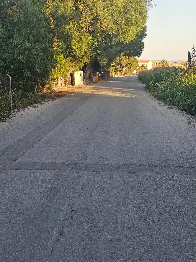 Terreny rústic en venda a Ceutí, imagen 11