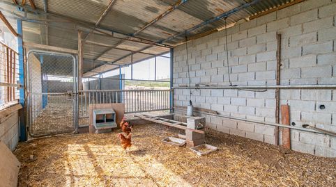 Finca rústica en venta con casa, nave y piscina, immagine 4