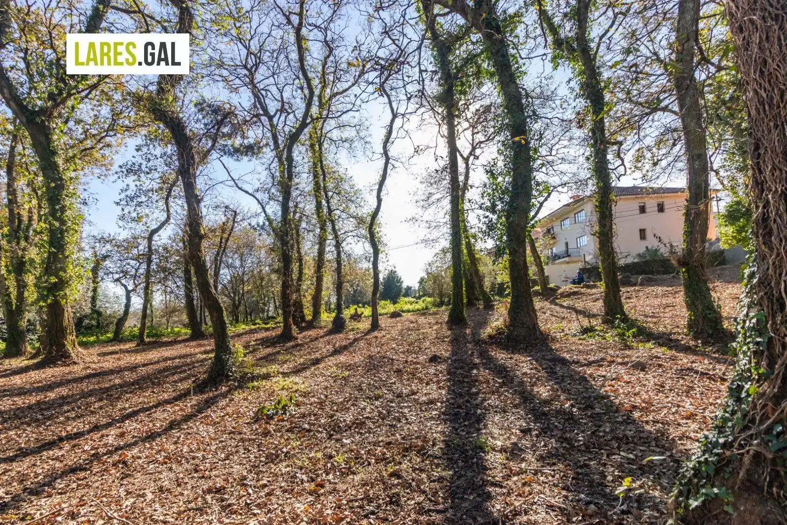 Lands and plots for sale in Rúa Ximeu, imagen 21
