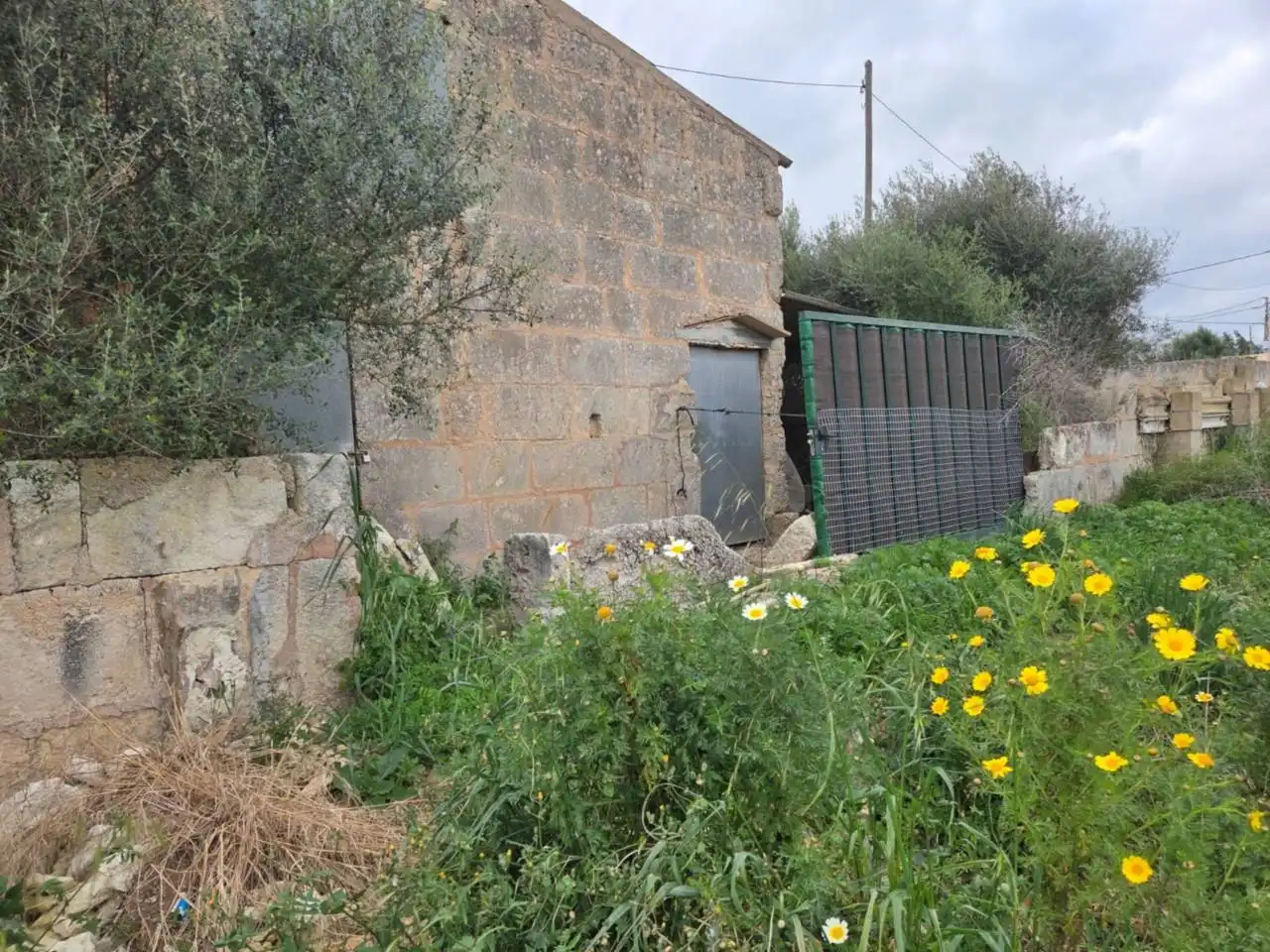 Rustikales Grundstück zum Verkauf in Manacor Centre, imagen 3