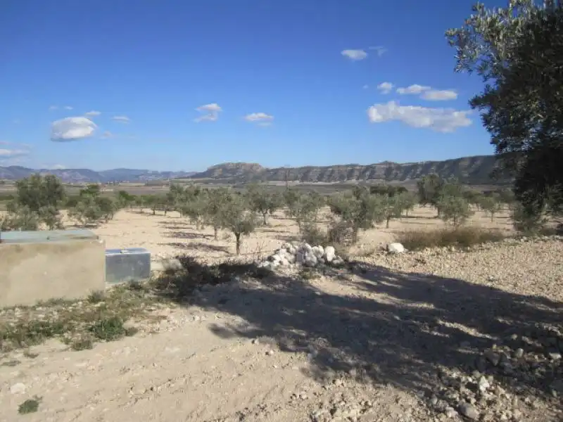 Casa en venda a Salinas, imagen 33