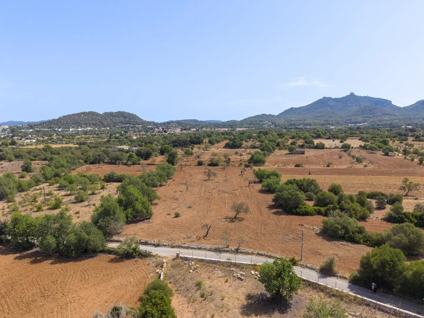 Lands and plots for sale in Felanitx Poble, imagen 6