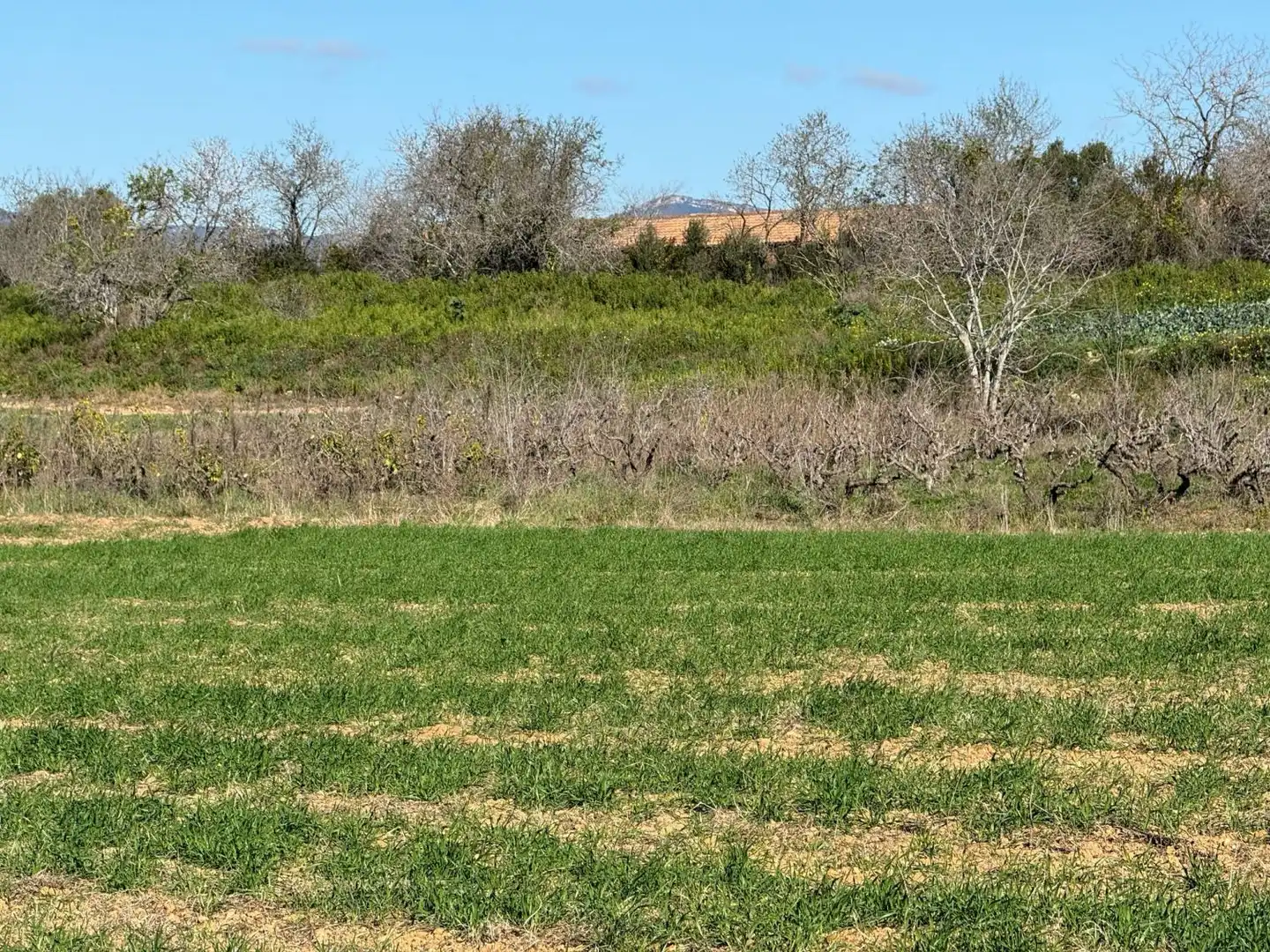 Finca rústica en venda a Puigpelat