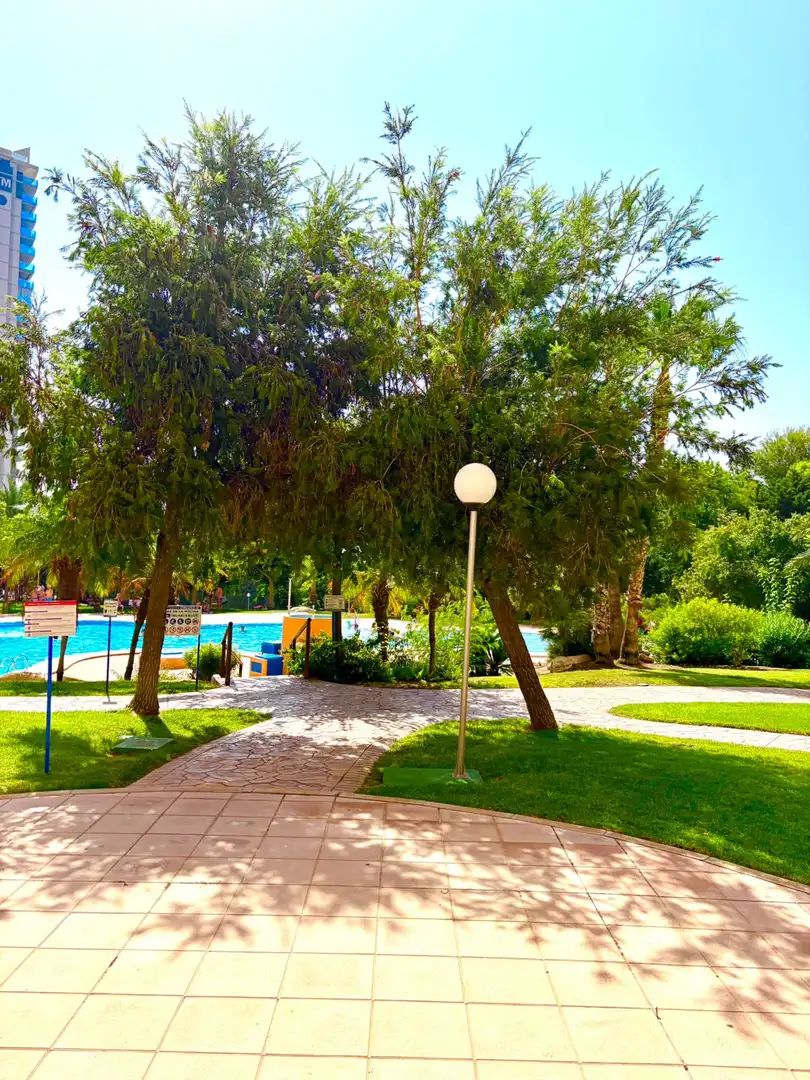 Piscina de Apartament en venda en Benidorm amb Aire condicionat, Calefacció i Jardí privat