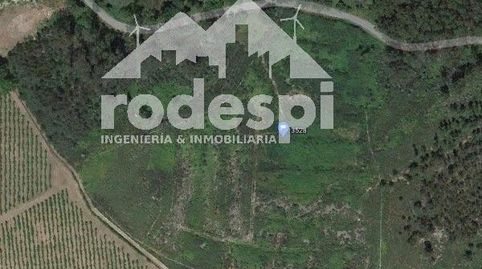 Crecente, imagen 5