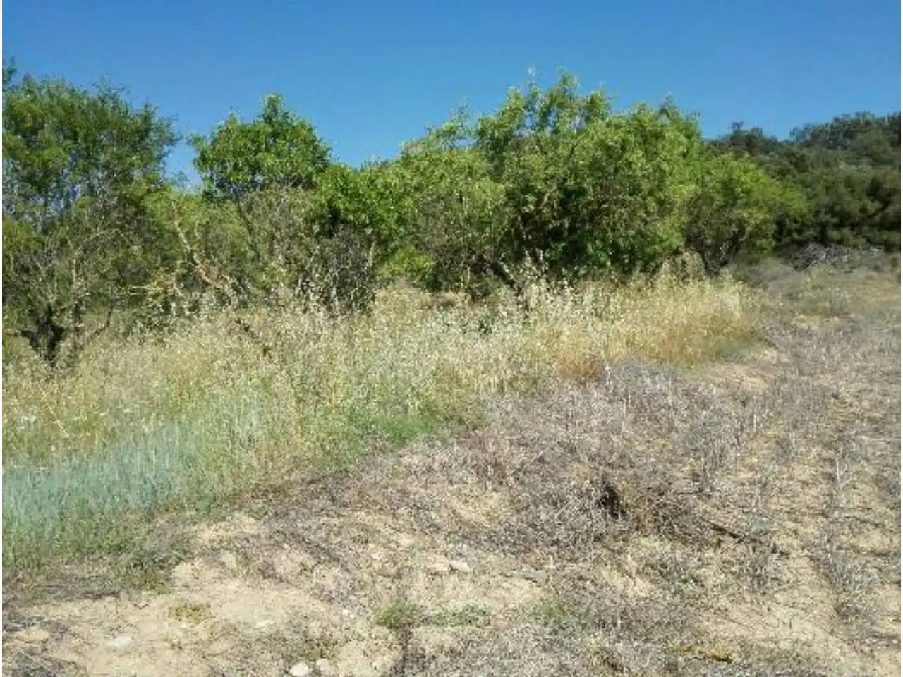 Terreno en venta en Lascellas-Ponzano