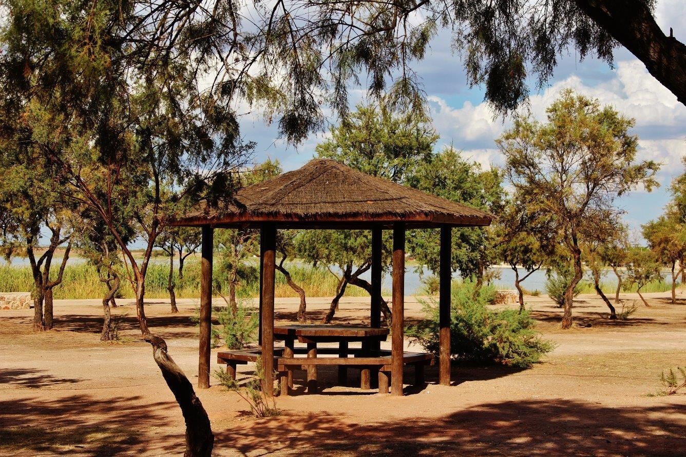 Garden of Country house for sale in Villafranca de los Caballeros  with Terrace and Storage room