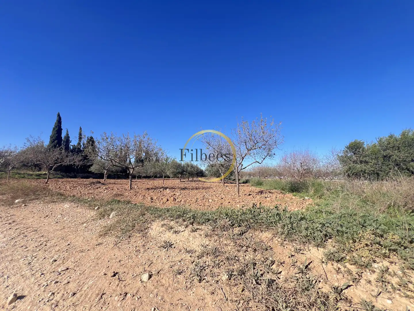 Casa rústica en venda a La Pinilla - Las Palas, imagen 19