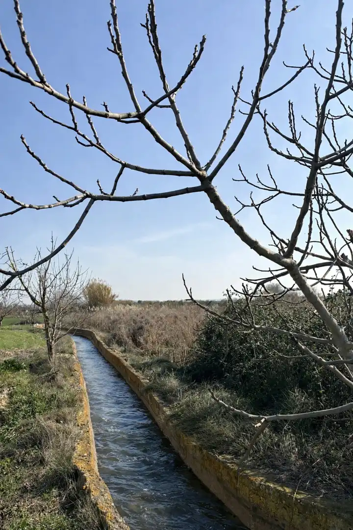 Rural land for sale in Agoncillo