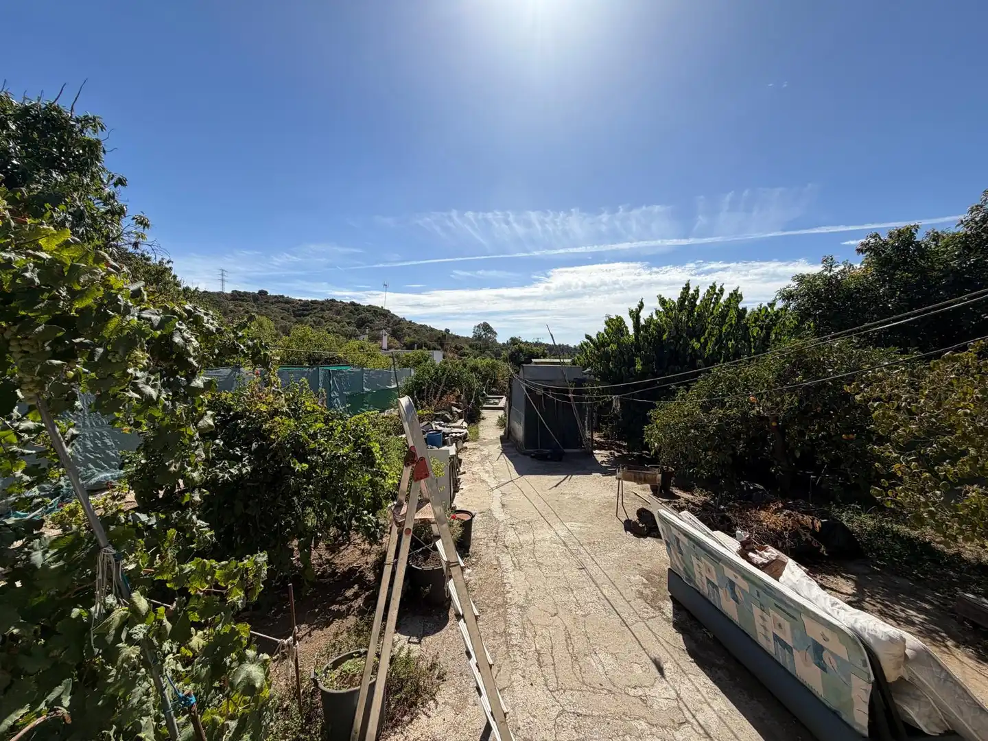 Jardín de Residencial en venta en Selwo
