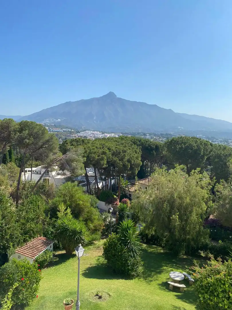 Dúplex amb piscina en venda a Marbella Centro, imagen 14