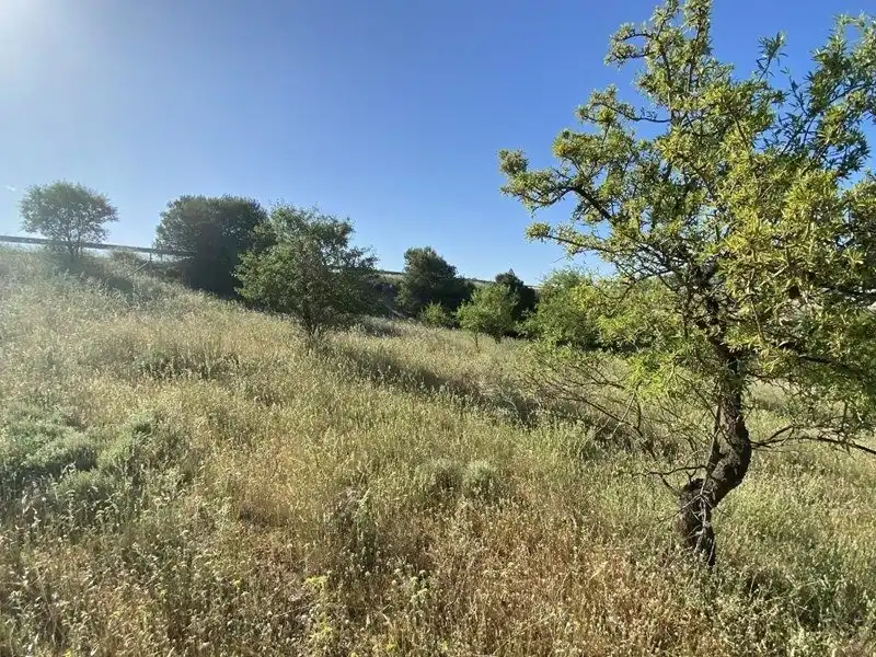Casa rústica en venda a Padul, imagen 19