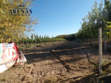 Terreno rustico in vendita a Soto
