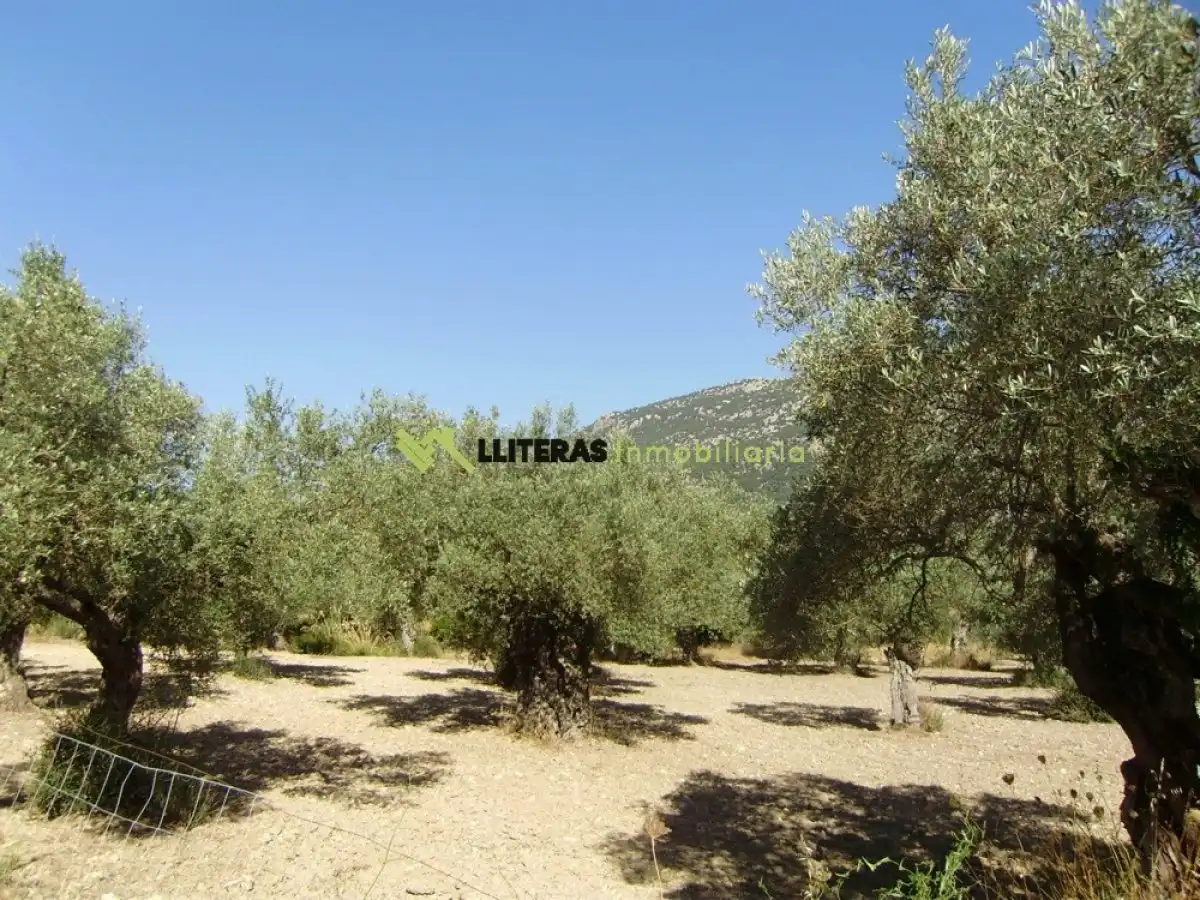 Country house for sale in Bunyola, imagen 8