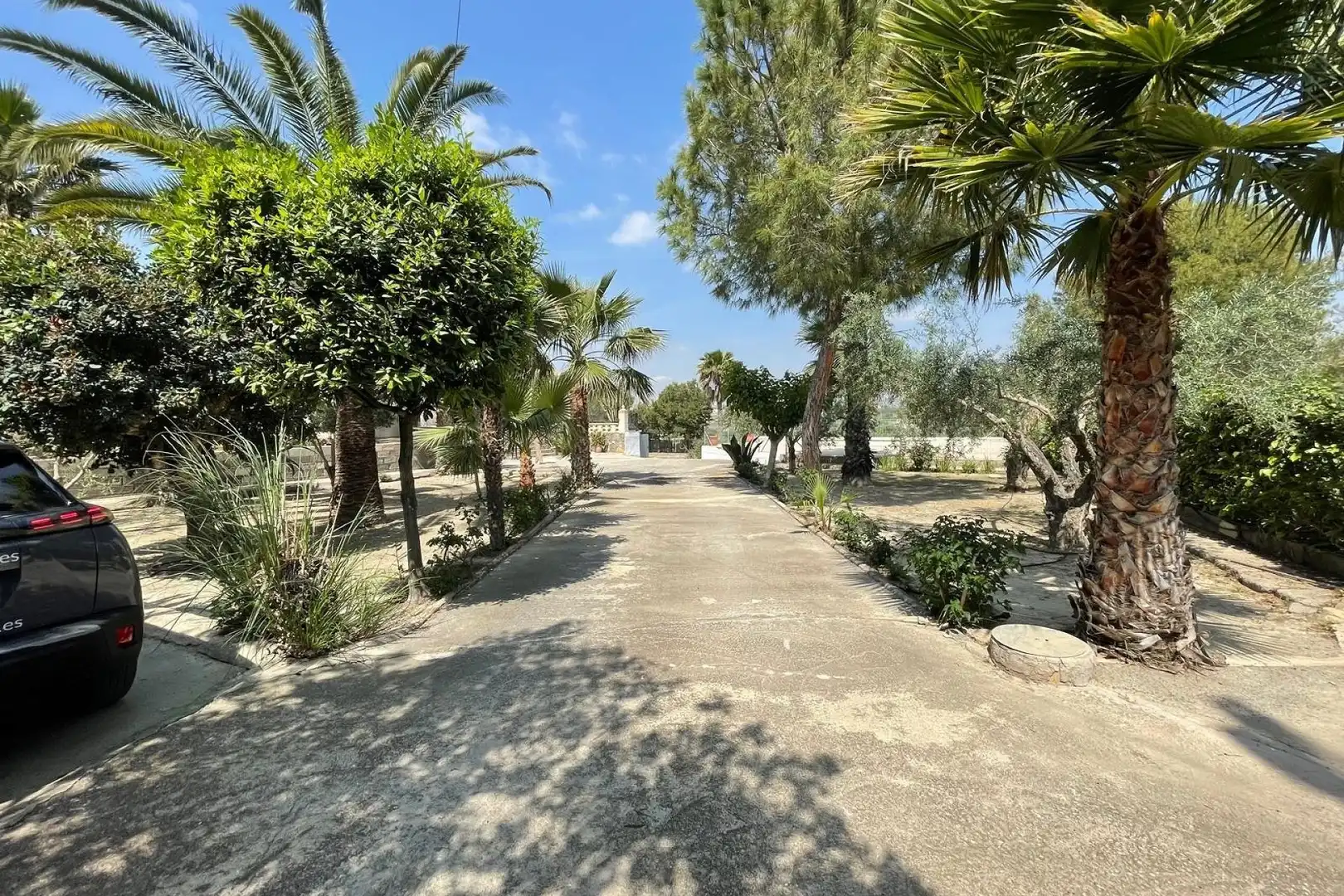 Vista exterior de Casa o xalet en venda en Elche / Elx amb Aire condicionat, Calefacció i Jardí privat