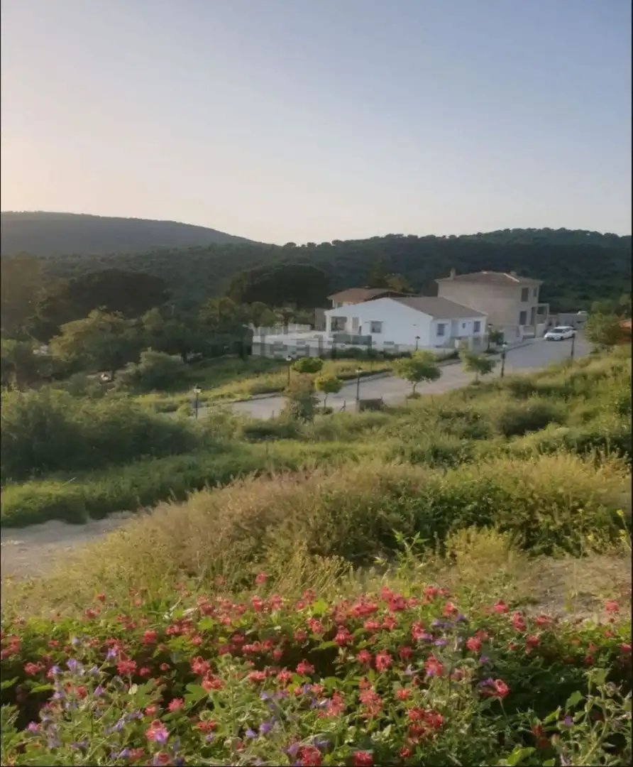 Terreno residenziale in vendita a Avenida del Pinsapar 42, imagen 2
