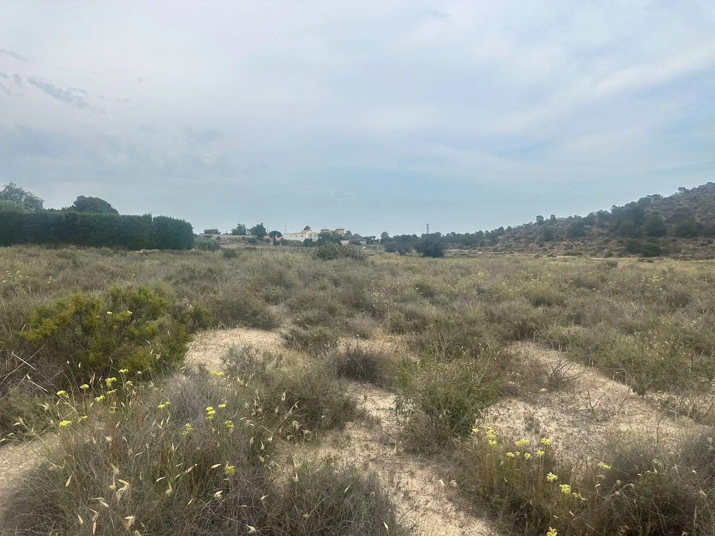 Terrains et parcelles à vendre à Partidas de Alicante, imagen 2
