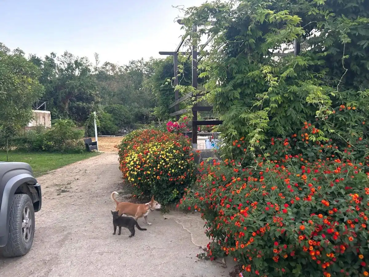 Jardí de Finca rústica en venda en San Martín del Tesorillo amb Terrassa