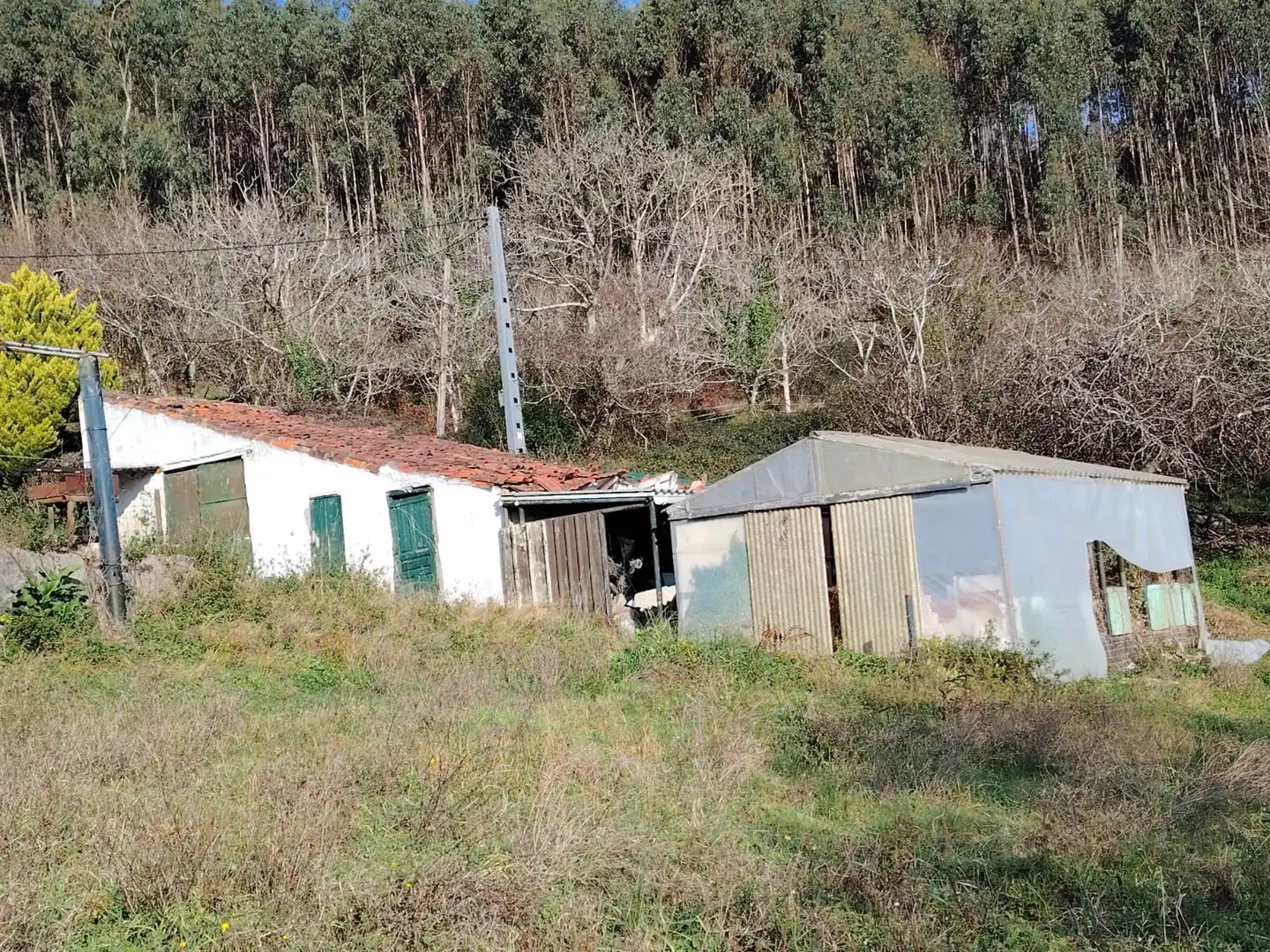 Vista exterior de Casa o chalet en venta en Gorliz con Jardín privado y Trastero
