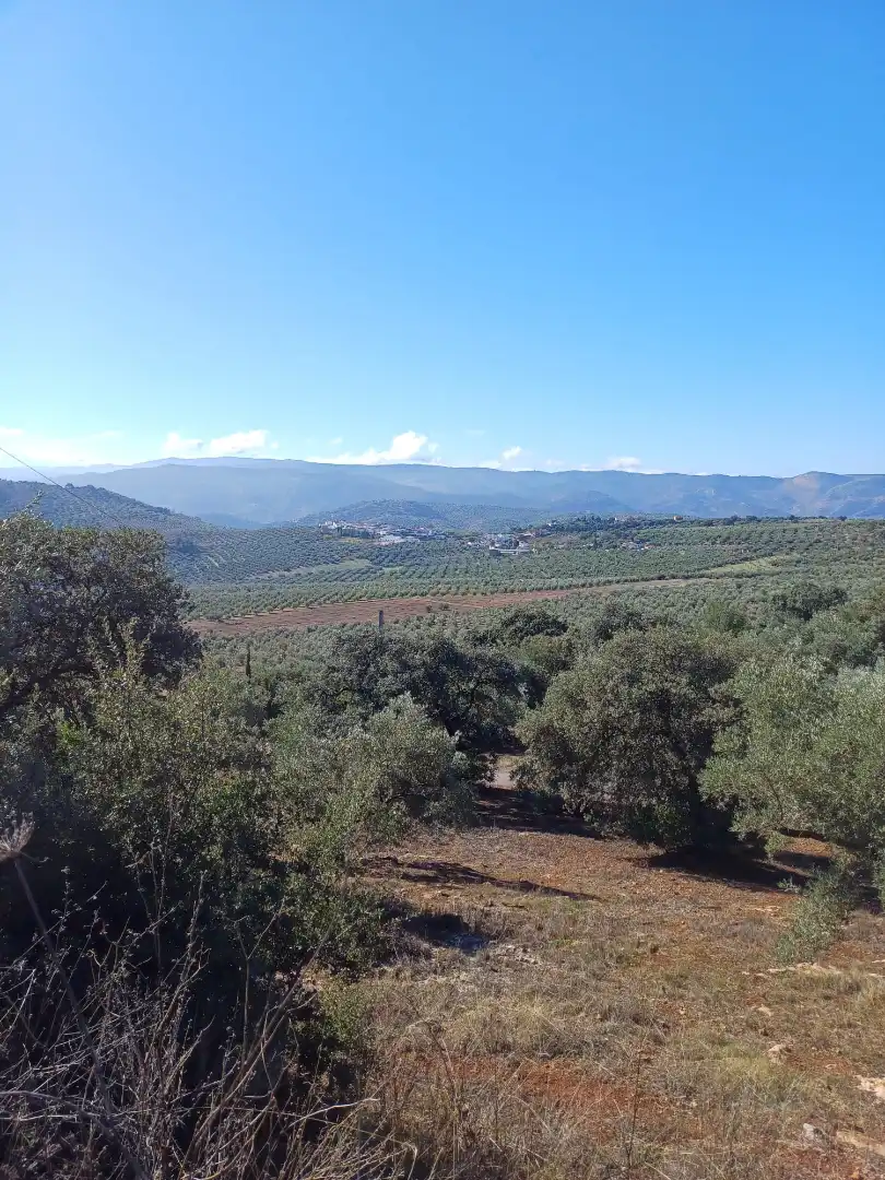 Country house for sale in Diseminado Diseminados, imagen 5