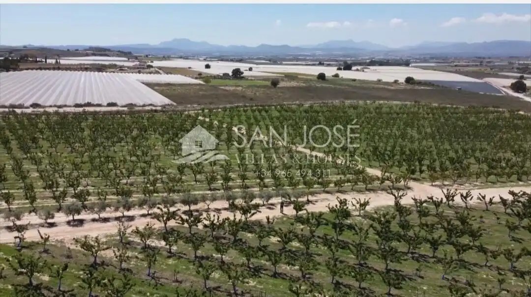 Terreno residencial en venta en Monforte del Cid, imagen 8