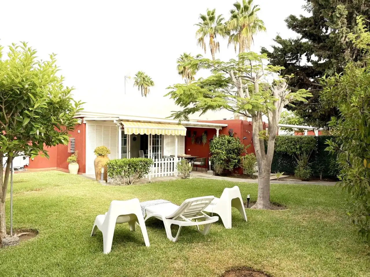 Garden of Houses for rent in Maspalomas - Meloneras