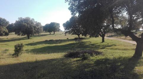 Photo 4 of Country house for sale in San Román de los Montes, Toledo