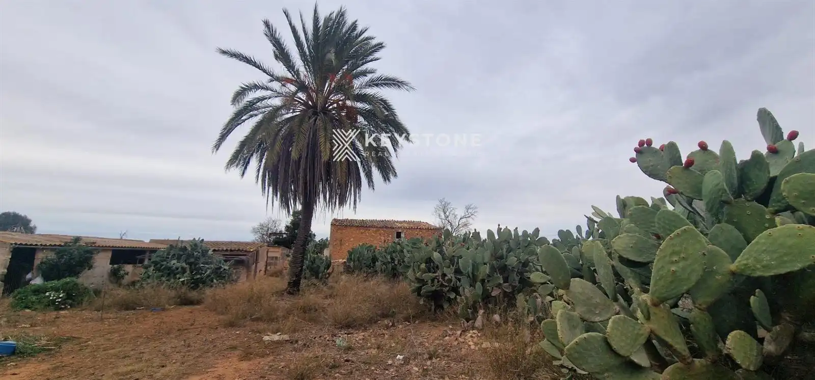Finca rústica en venta en Campos poble
