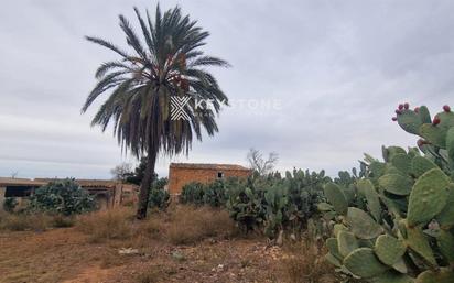 Casa o xalet en venda en Campos amb Terrassa