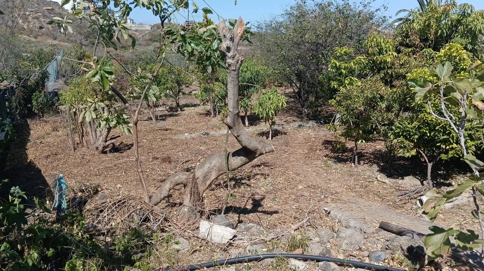 Rural land for sale in San Felipe - San Marcos - Las Cañas, imagen 17