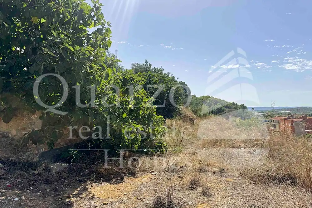 House with garden for sale in Calle Proyecto Número 3, imagen 18