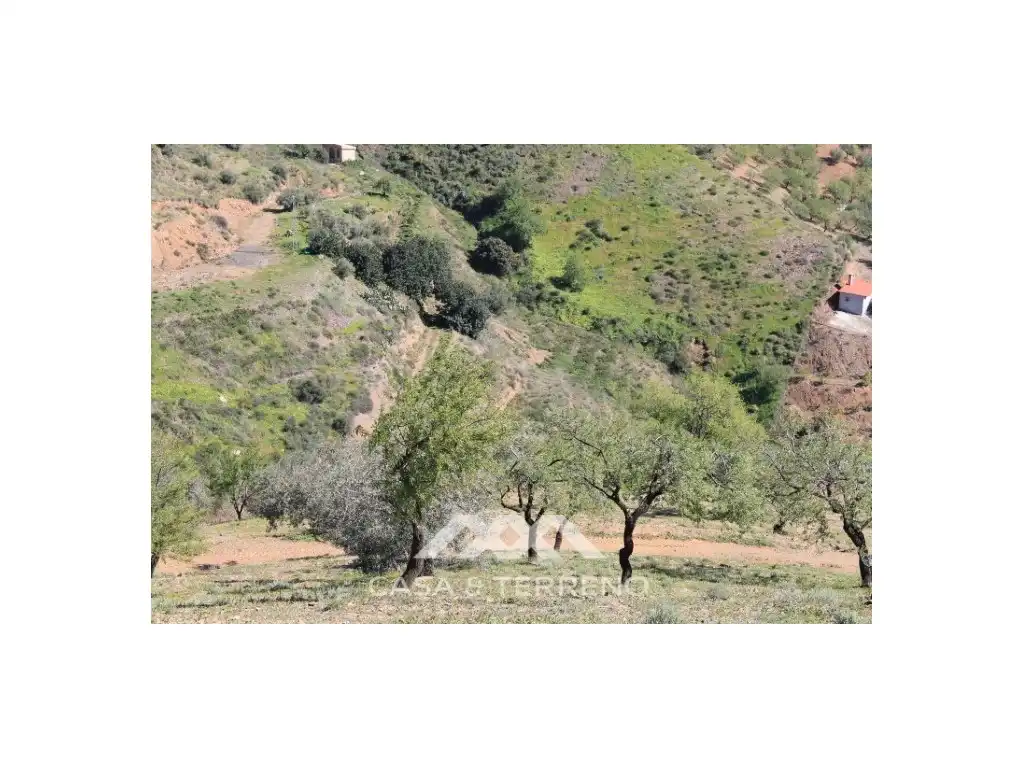 Residential for sale in El Borge