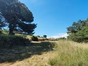 Terreni e lotti in vendita a Jarandilla de la Vera, imagen 5