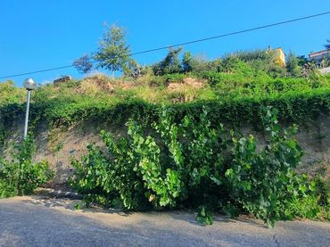 Terrenos y solares en venta en ANSELM CLAVE