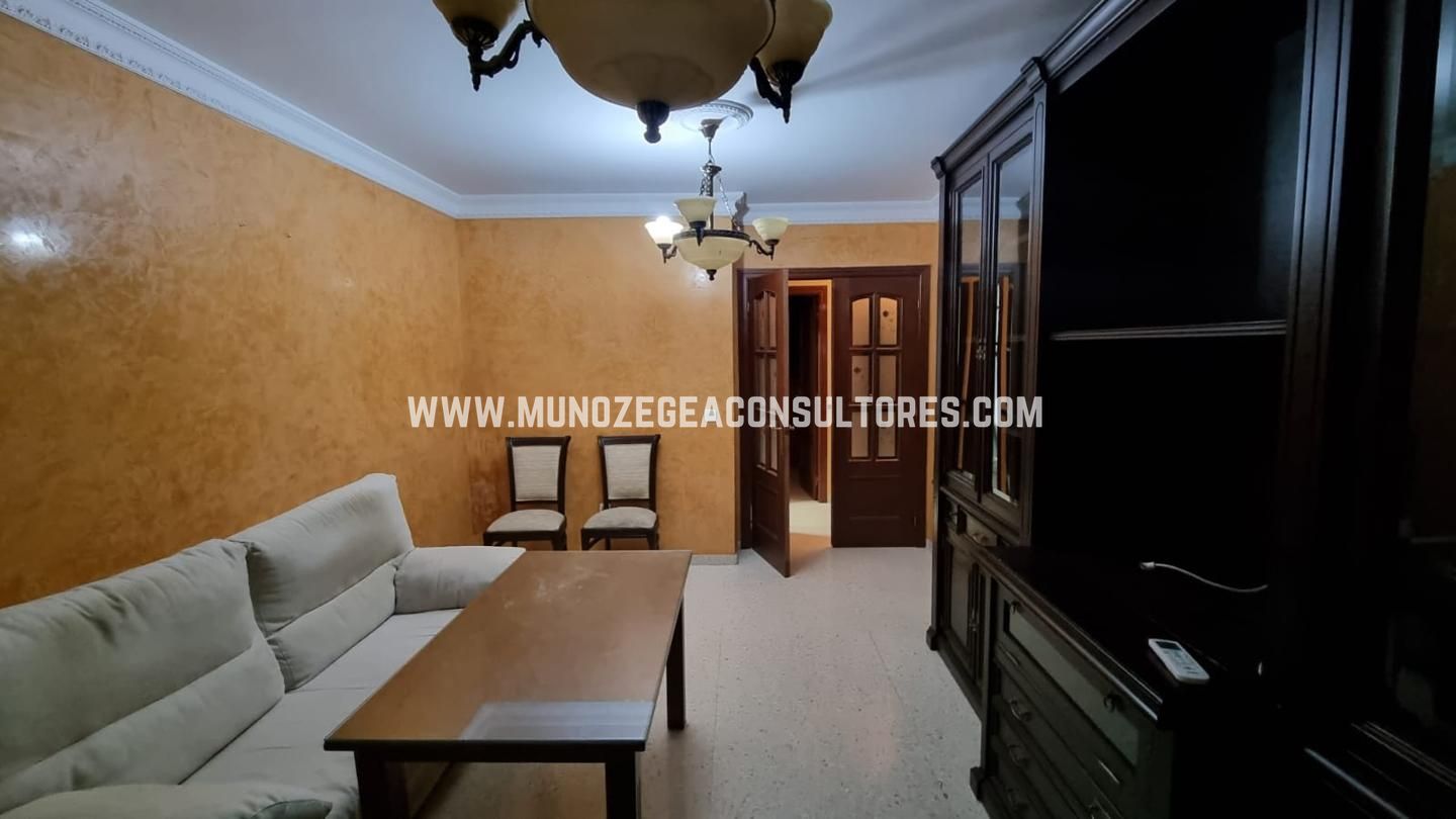Sala d'estar de Pis en venda en Lucena amb Aire condicionat i Moblat