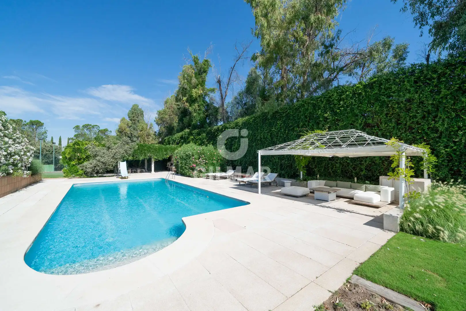 Jardín de Casa o chalet en venta en Algete con Piscina