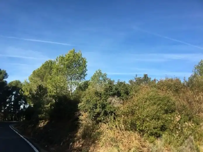 Terreno residenziale in vendita a Partida L'Arboçar, imagen 8