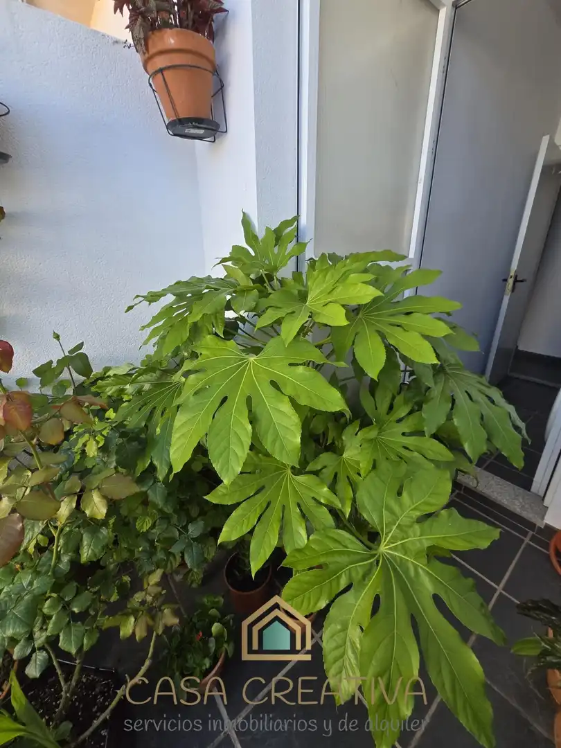 Appartement avec terrasse à vendre à Avenida JAUME I, imagen 76