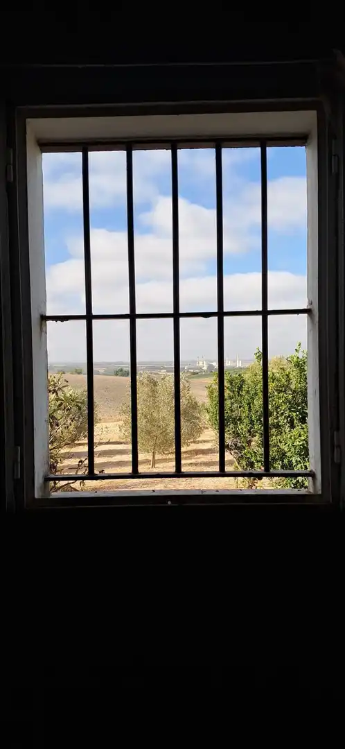 Casa rústica en venda a Arcos de la Frontera, imagen 11